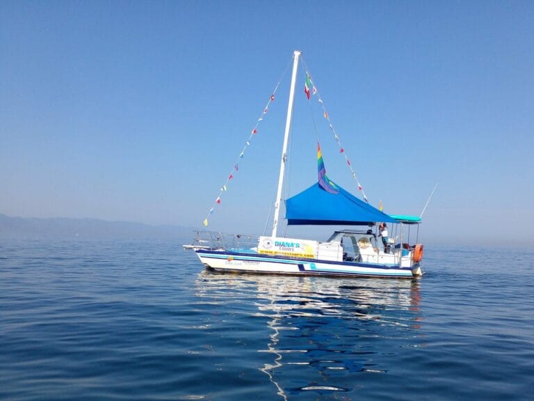 1 boatsailing dianaBoatTours puerto vallarta 1 768x576