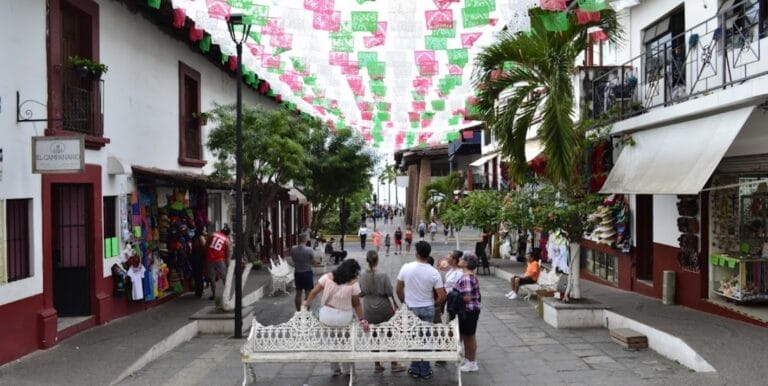 EnPuertoVallarta ToursGuiaTuristica1 1 768x386