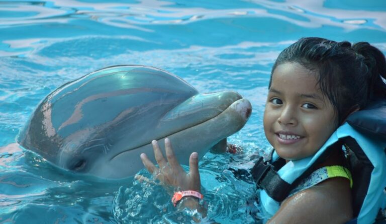 aquaventuras park puerto vallarta 2 1 768x447