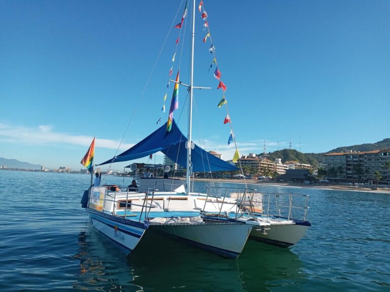 boat dianaBoatTours puerto vallarta 1 768x576
