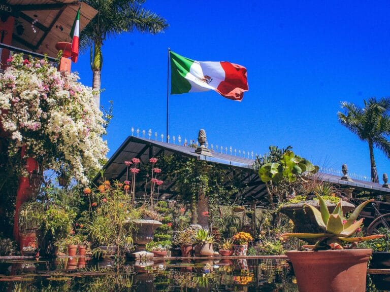 botanical garden puerto vallarta discovery puerto vallarta 1 768x576