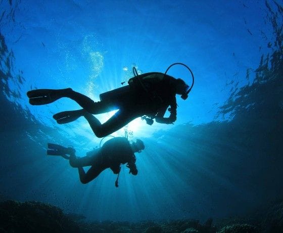 divers trans tours triton puerto vallarta 1