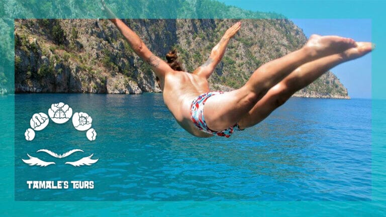 diving tamale s tours puerto vallarta 1 768x432
