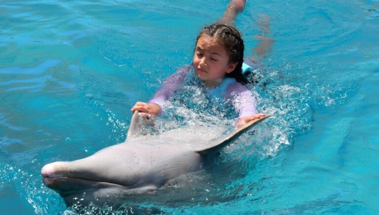 dolphindiscoverypuertovallarta puerto vallarta 1 1 768x437