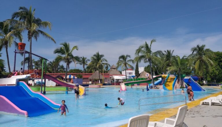dolphindiscoverypuertovallarta puerto vallarta 3 1 768x440