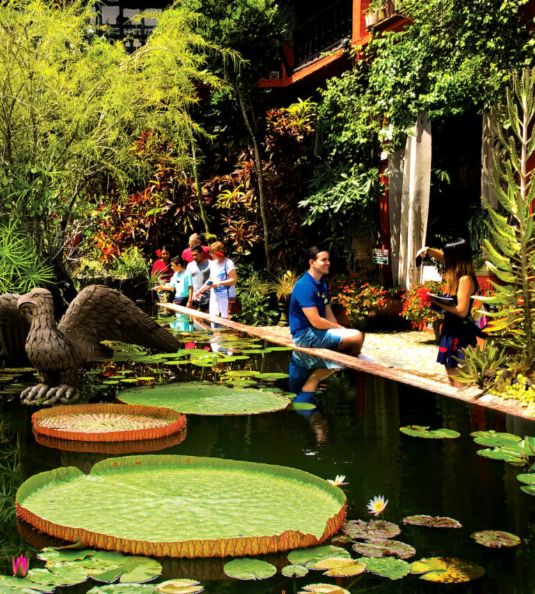 garden botanicaldelightstourculinaryadventure puerto vallarta 1 1 768x853