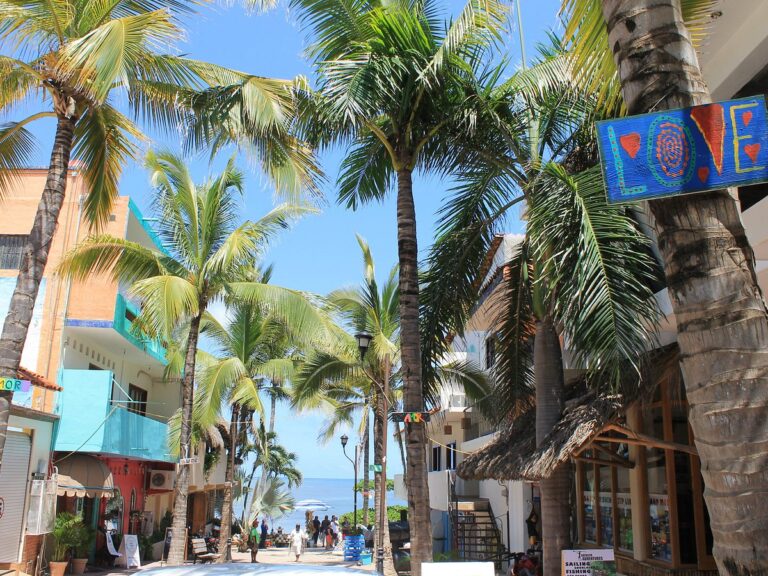 sayulita puerto vallarta discovery puerto vallarta 1 768x576