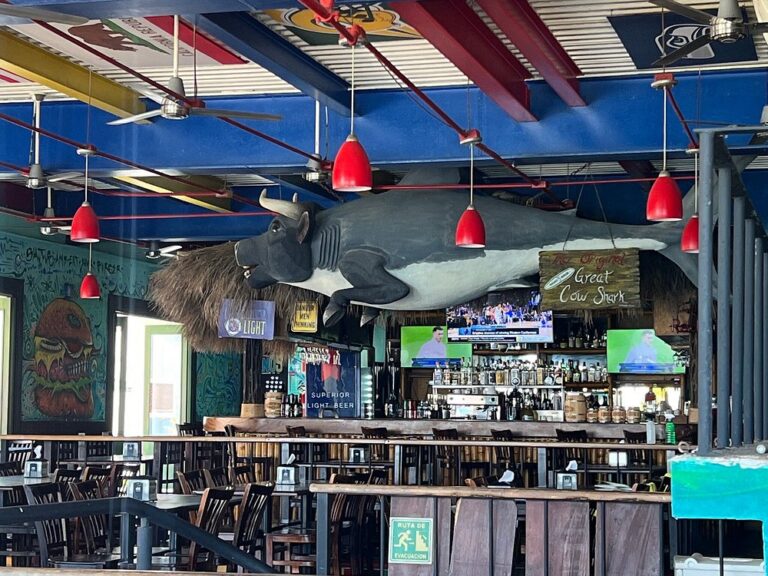 bar paradise burger puerto vallarta 768x576