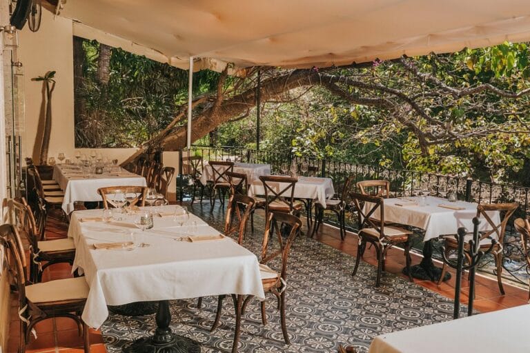 interior tintoque puerto vallarta 768x512