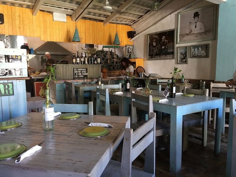 interior veggitalia pizza and osteria vegetariana puerto vallarta 768x576