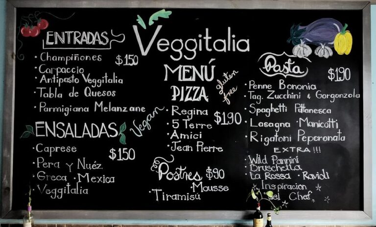 menu veggitalia pizza and osteria vegetariana puerto vallarta 768x465